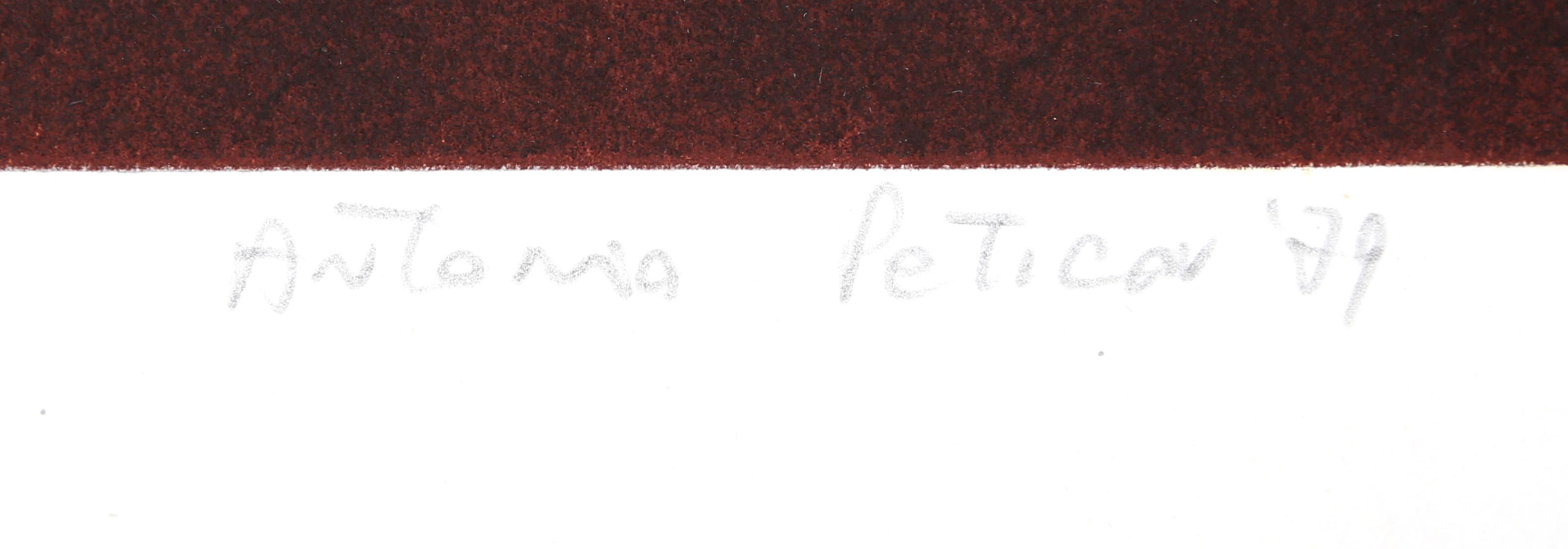 Santa Elena Canyon, Surrealist Screenprint by Antonio Peticov For Sale 1