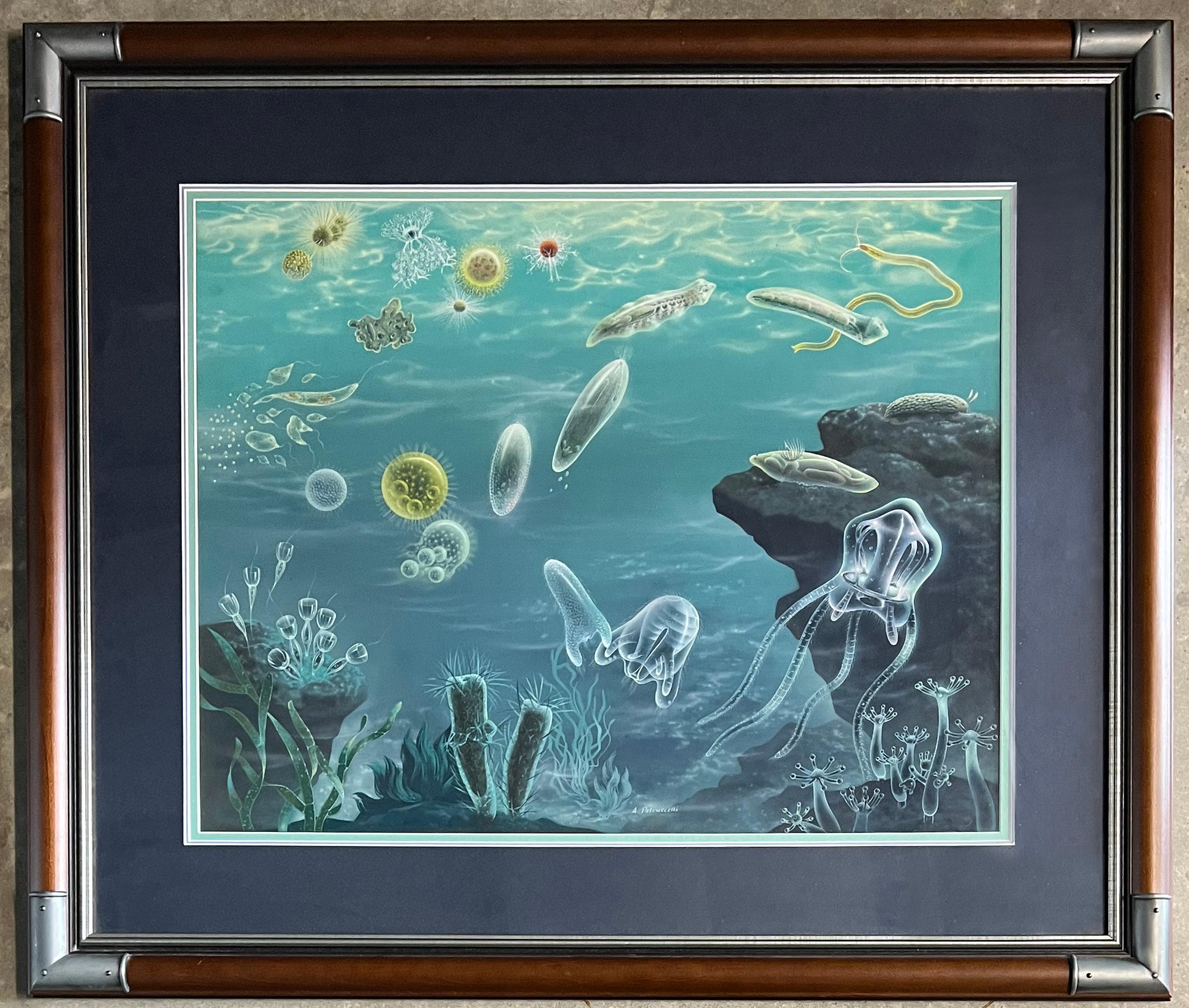 Original Painting. Life Mag Published 1953. Undersea Jellyfish American Scene - Art by Antonio Petruccelli