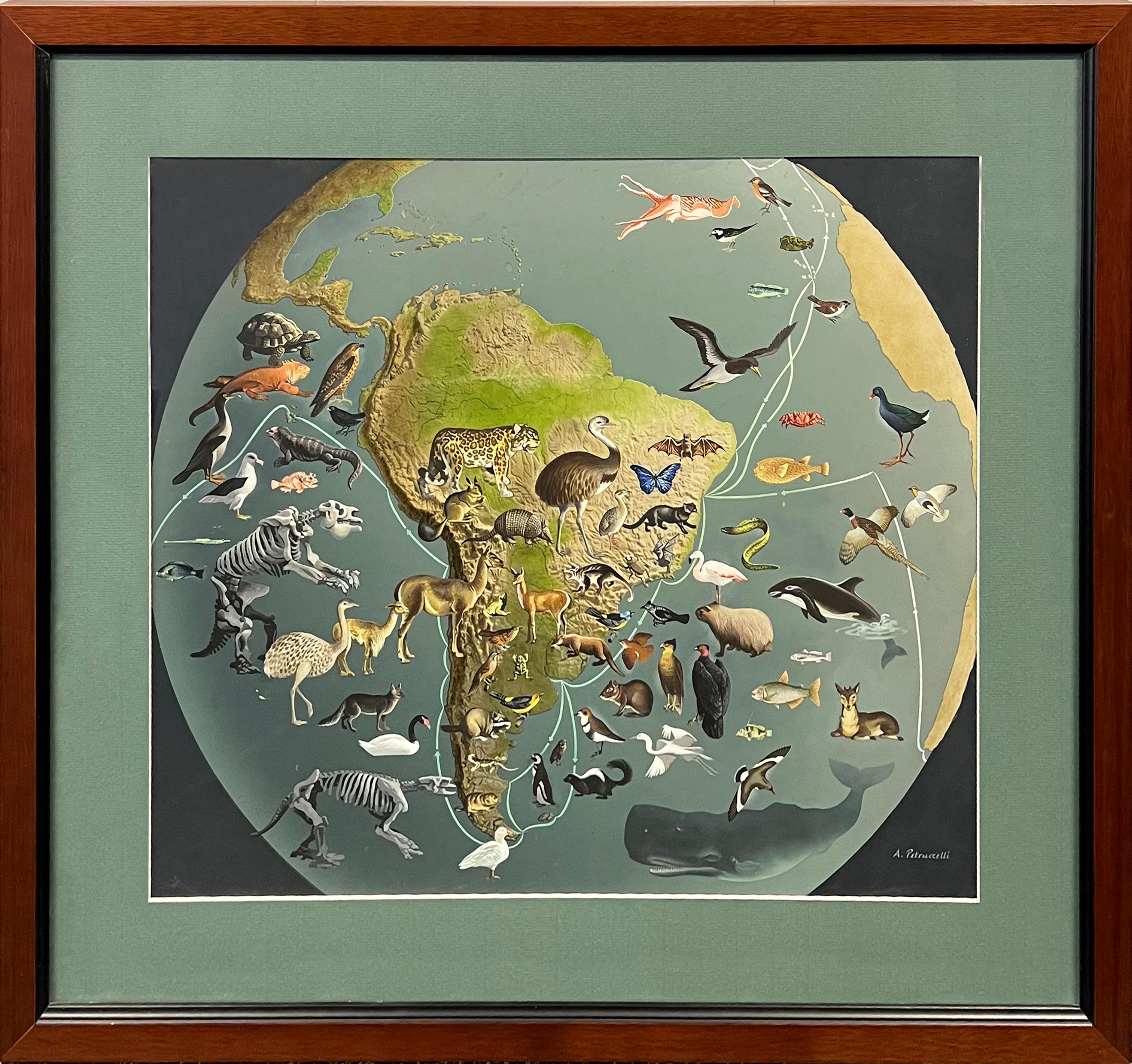 Original Painting S America Map Published 1956 Illustration Animals Planet Globe

Antonio Petruccelli (1907 – 1994)
The Wonders of Life on Earth
Earth South America
Holiday Magazine published, 1956
18 1/2 X 21 1/2 inches (sight)
Framed 26 X 29