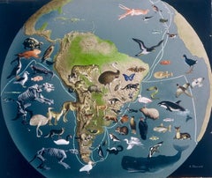 Original Painting S America Map Published 1956 Illustration Animals Planet Globe