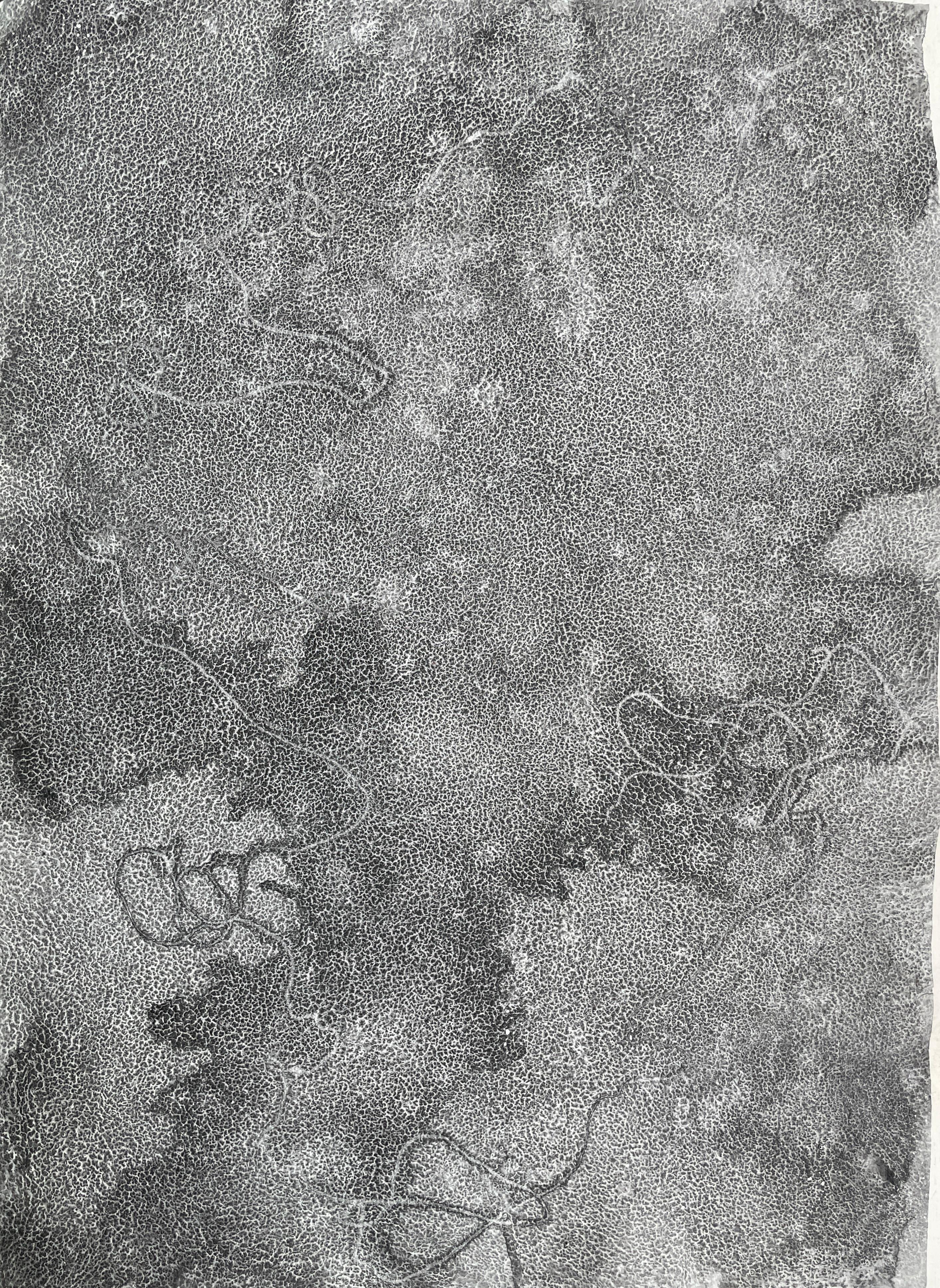 Cincuenta 1: sumi ink painting on handmade paper from India: gray, black & white