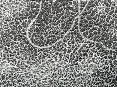 Cincuenta 1: sumi ink painting on textured handmade paper from India: gray black