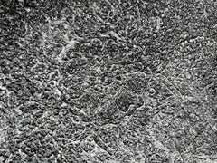 Cincuenta 5: abstract painting on handmade paper from India, black w/ flowers