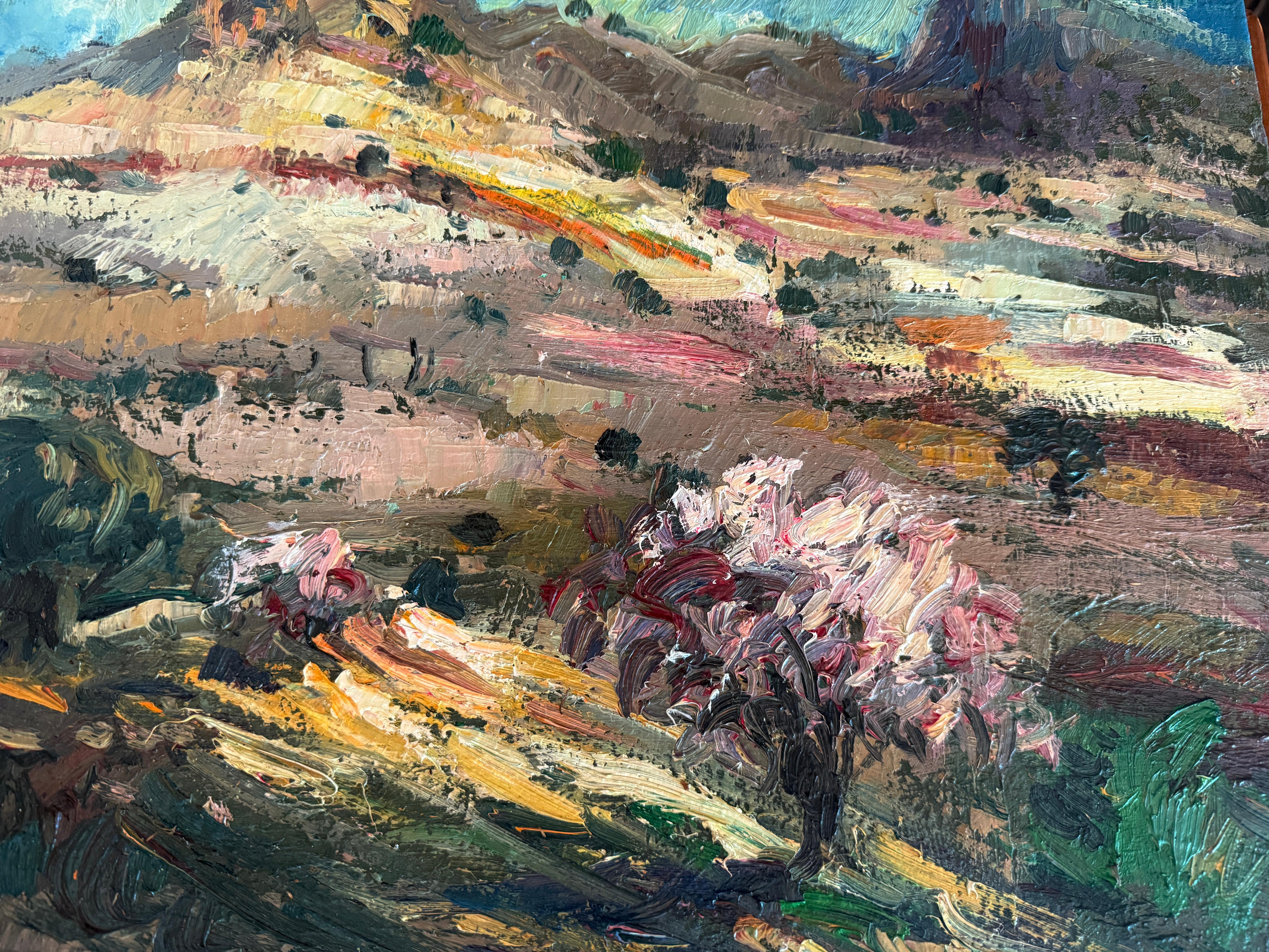 Landscape with Almond Trees in Bloom oil on canvas painting spanish landscape For Sale 2