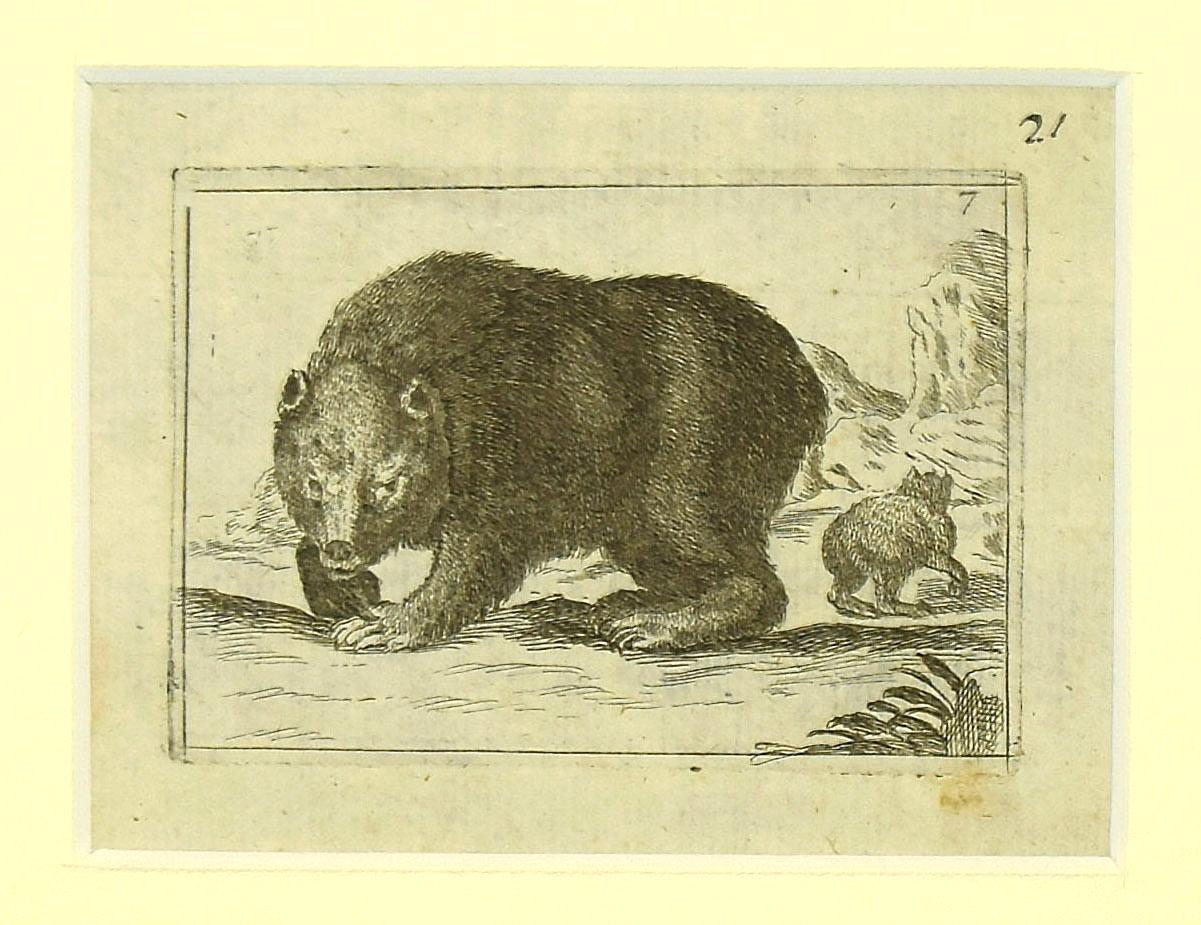 Bear is a wonderful black and white etching on thick laid paper, realized by the Italian master Antonio Tempesta (1555-1630).

Not signed. 

In excellent conditions.

Including a cream-colored cardboard passepartout,  34 x 49 cm. Image Dimensions: 7