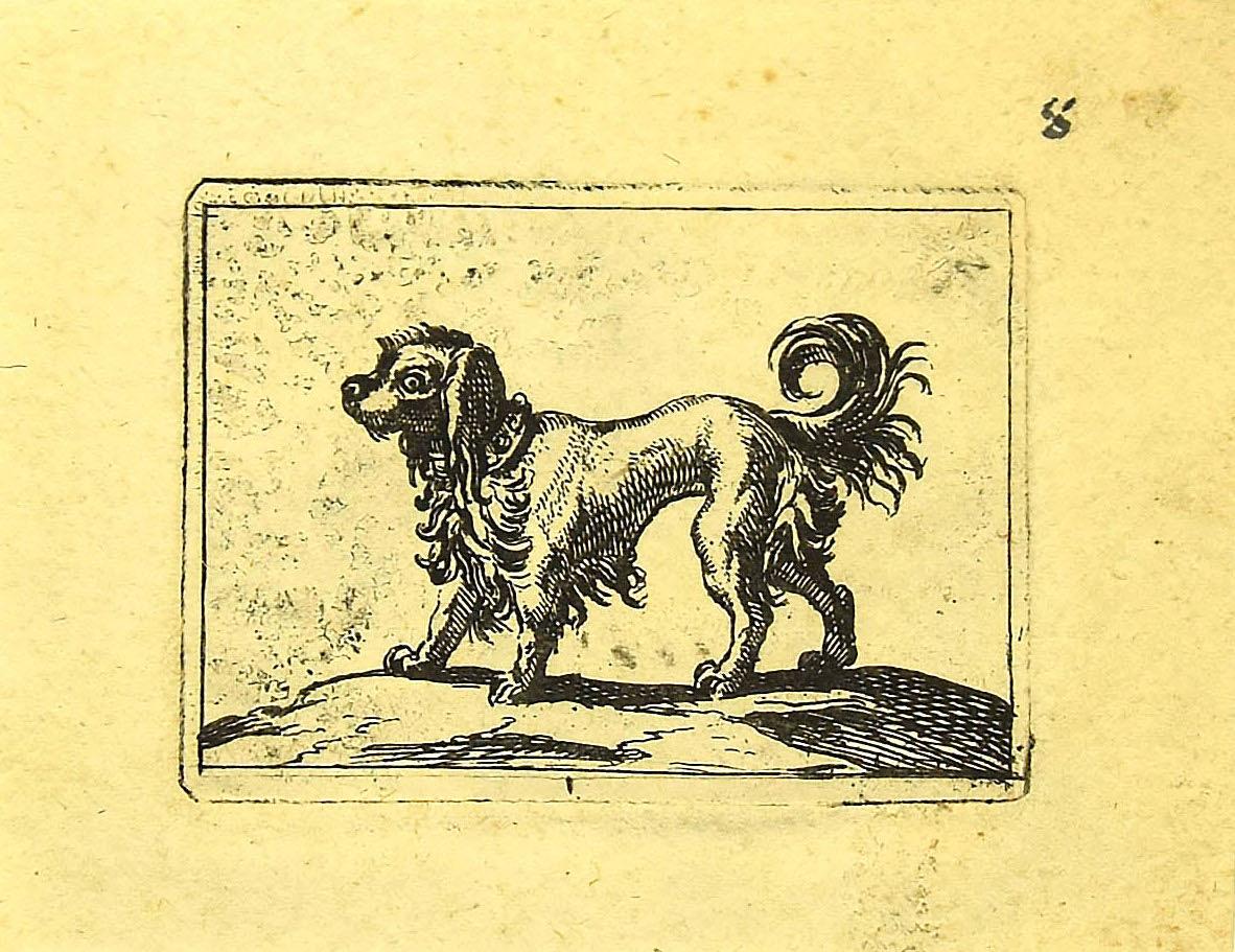 dog etching