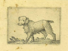 Gravure d'un chien par Antonio Tempesta - années 1610