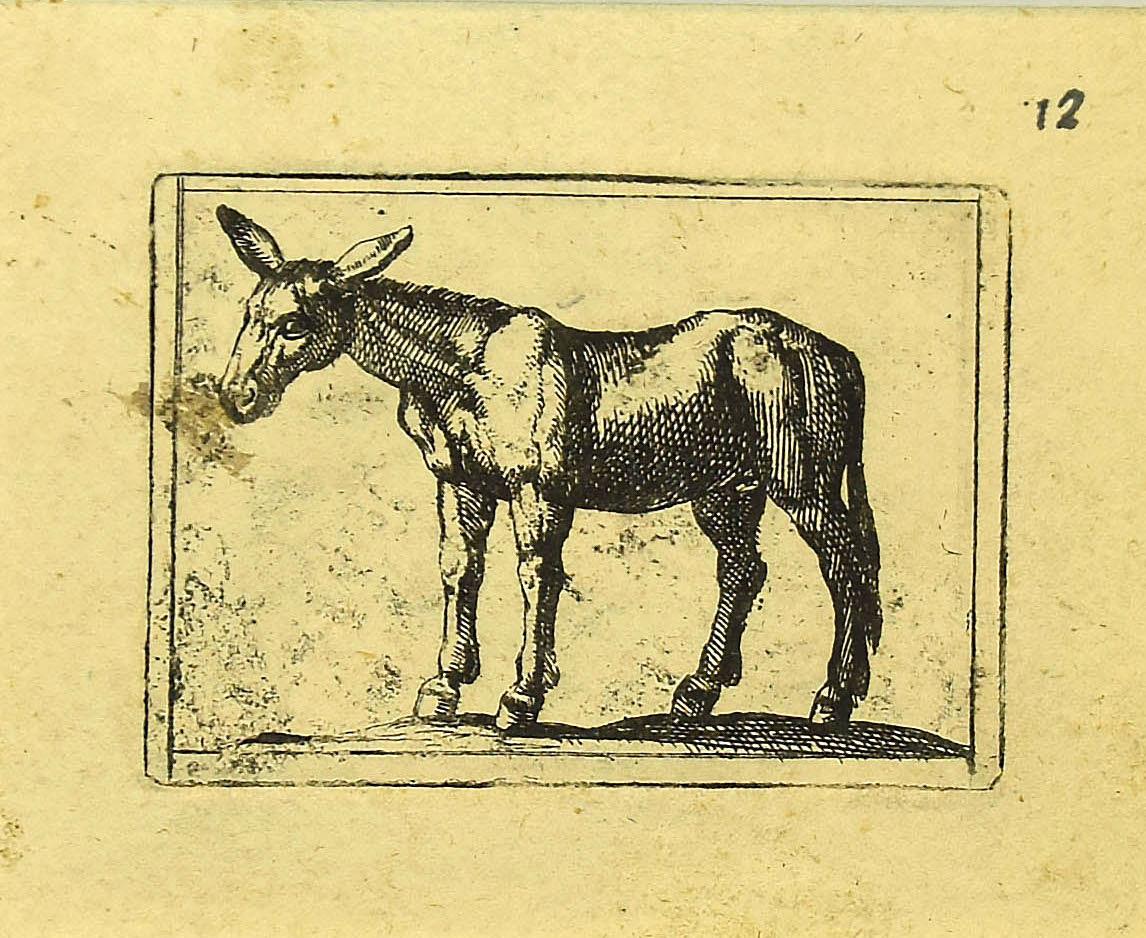 Mule - Etching by Antonio Tempesta - 1610s