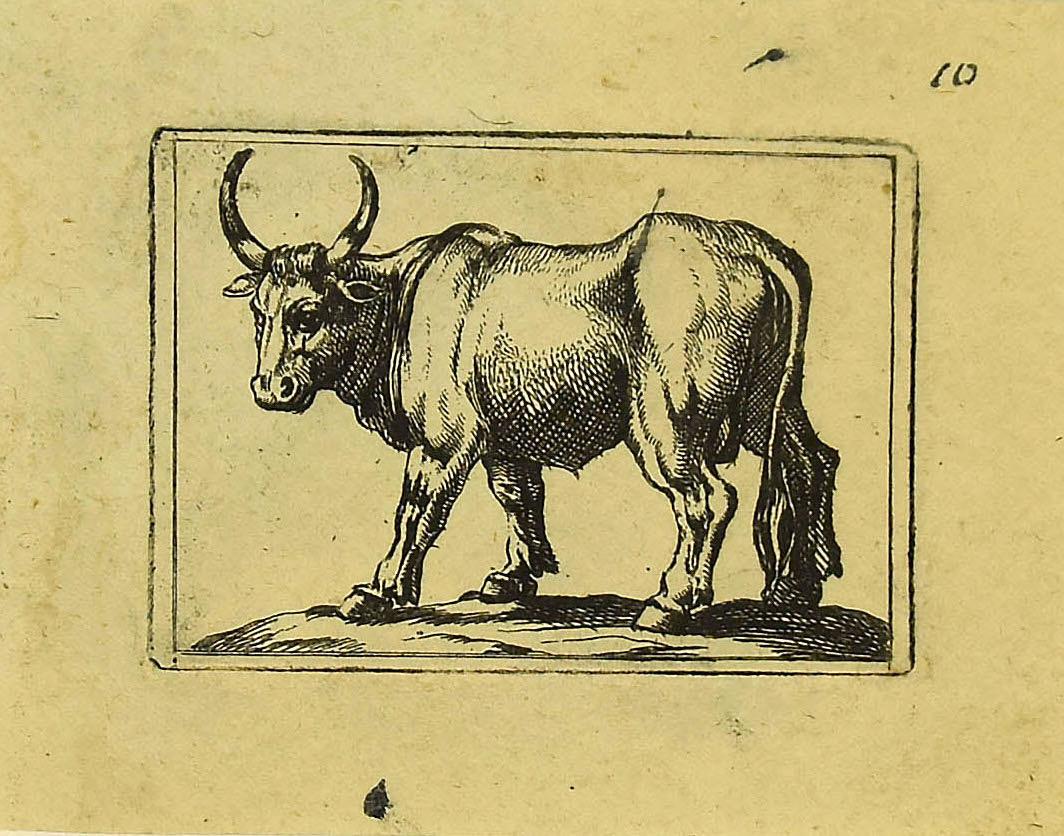Ox is a wonderful black and white etching on thick laid paper, realized by the Italian master Antonio Tempesta (1555-1630).

Not signed. 

In excellent conditions.

Image Dimensions: 5 x 7 cm. 8 x 10 cm.

Including a cream-colored cardboard