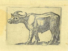 Antique The Buffalo - Etching by Antonio Tempesta - 1610s