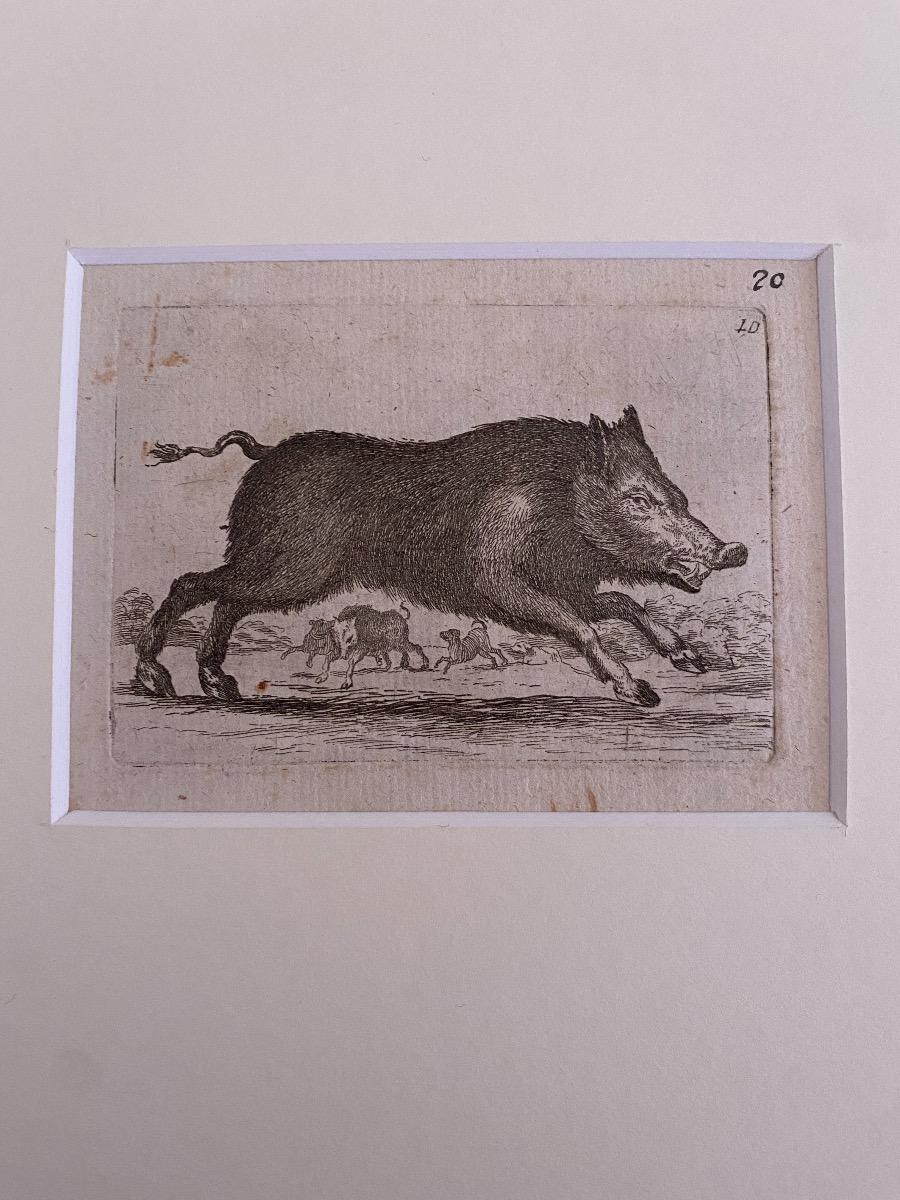 The Cinghi is a wonderful black and white etching on thick laid paper, realized by the Italian master Antonio Tempesta (1555-1630).

Not signed. 

In excellent conditions, except for some stains.

Including a cream-colored cardboard passepartout, 