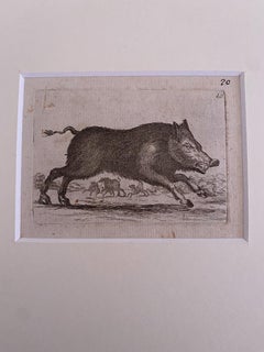 The Cinghi - Original Etching by Antonio Tempesta - 1610