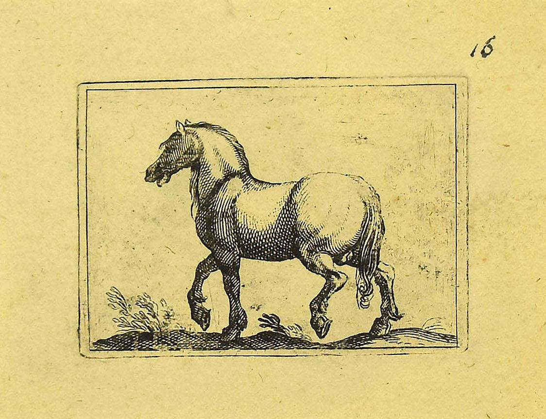 Le cheval - eau-forte d'Antonio Tempesta - années 1610