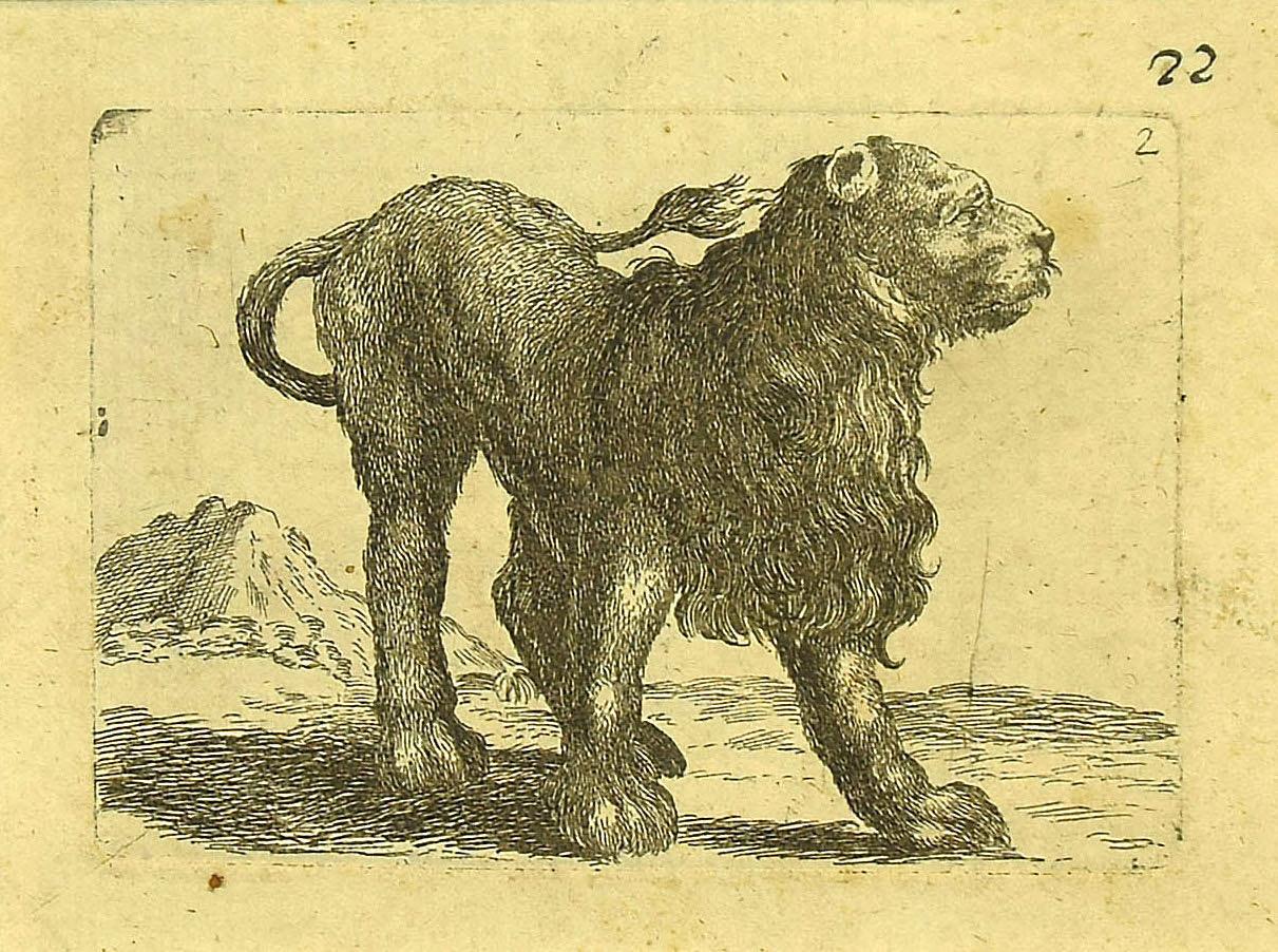 Le lion est une merveilleuse gravure en noir et blanc sur papier vergé épais, réalisée par le maître italien Antonio Tempesta (1555-1630).

Non signé. 

En excellent état.

Y compris un passepartout en carton de couleur crème,  34 x 50 cm.

Une