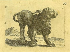 The Lion - Etching by Antonio Tempesta - 1610s