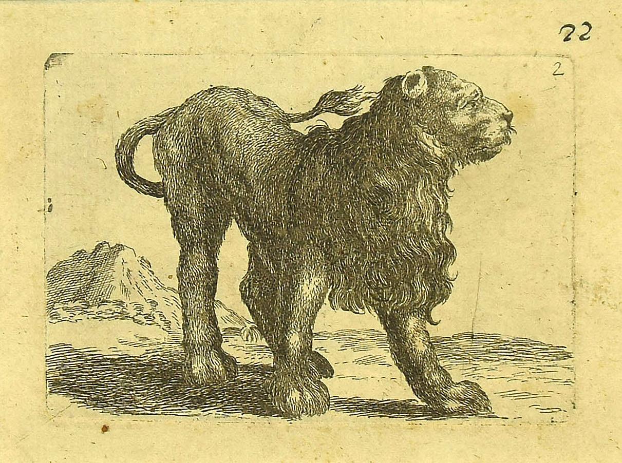 The lion is a wonderful black and white etching on thick laid paper, realized by the Italian master Antonio Tempesta (1555-1630).

Not signed. 

In excellent conditions.

Including a cream-colored cardboard passepartout,  34 x 50 cm.

An exciting