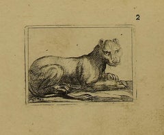 La lionne - Gravure originale d'Antonio Tempesta - 1630