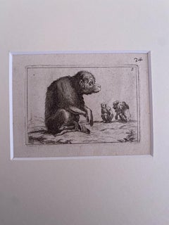 The Monkey - Original Etching by Antonio Tempesta - 1610