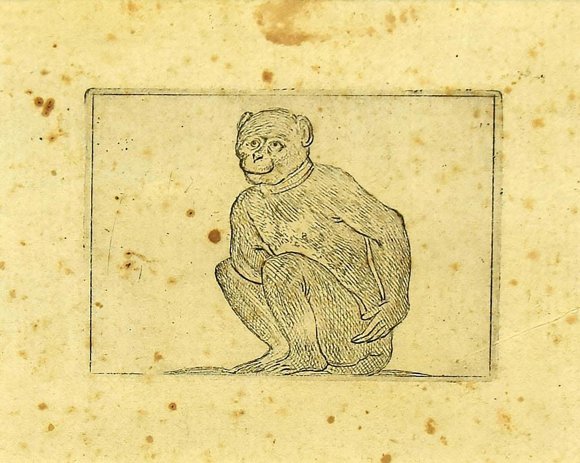 Der Affe ist eine wunderbare Schwarz-Weiß-Radierung auf dickem Büttenpapier, die von dem italienischen Meister Antonio Tempesta (1555-1630) geschaffen wurde.

Nicht unterzeichnet. 

In ausgezeichnetem Zustand, mit Ausnahme einiger