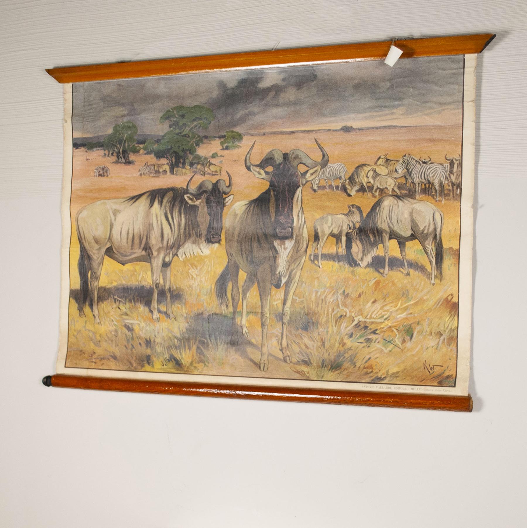 Mid-Century Modern Antonio Vallardi - Impression en toile de lin Muflon en vente