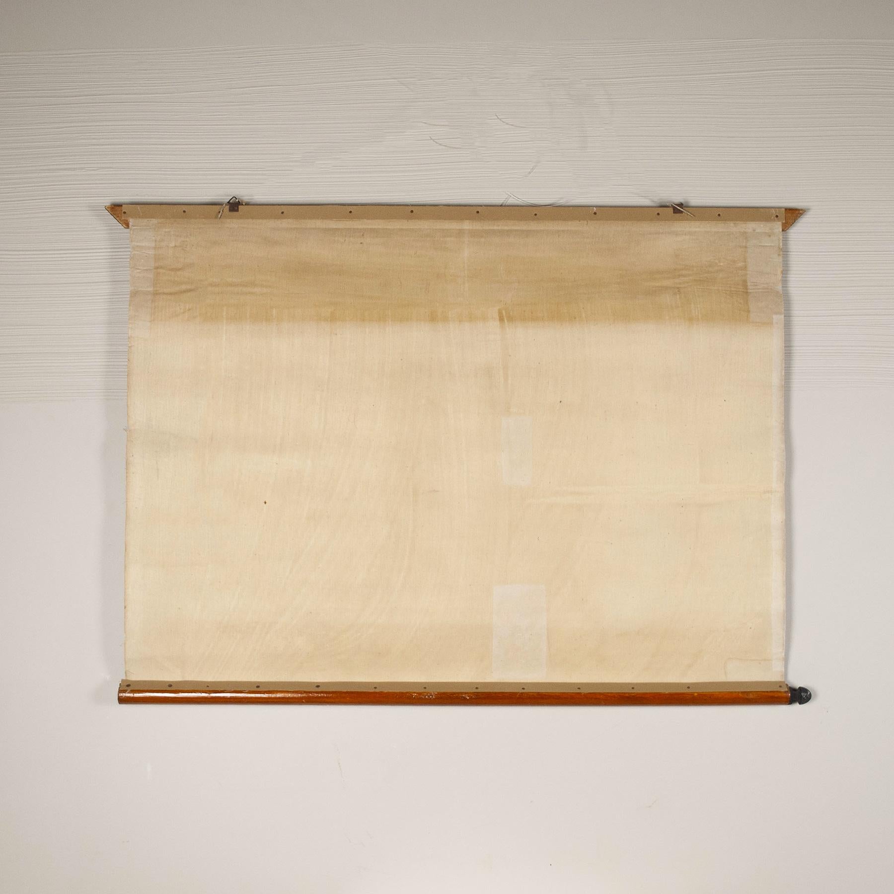 Antonio Vallardi - Impression en toile de lin Muflon Bon état - En vente à bari, IT