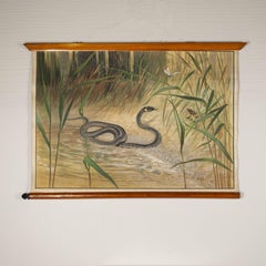 Antonio Vallardi Snake Linen Canvas Print
