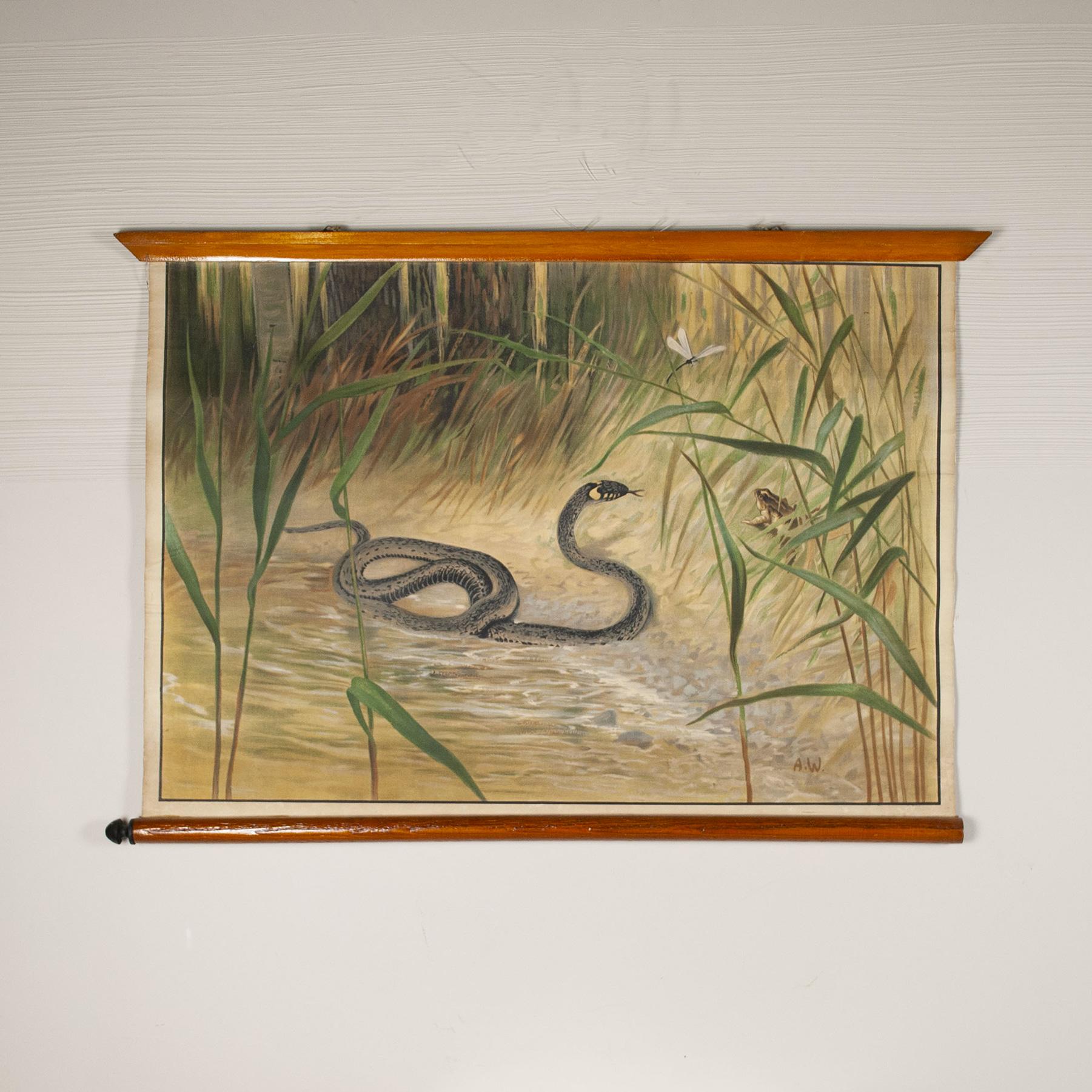 Antonio Vallardi Snake Linen Canvas Print In Good Condition For Sale In bari, IT