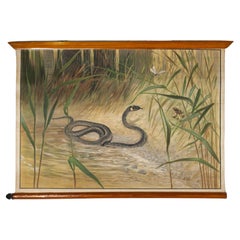 Antonio Vallardi Snake Linen Canvas Print