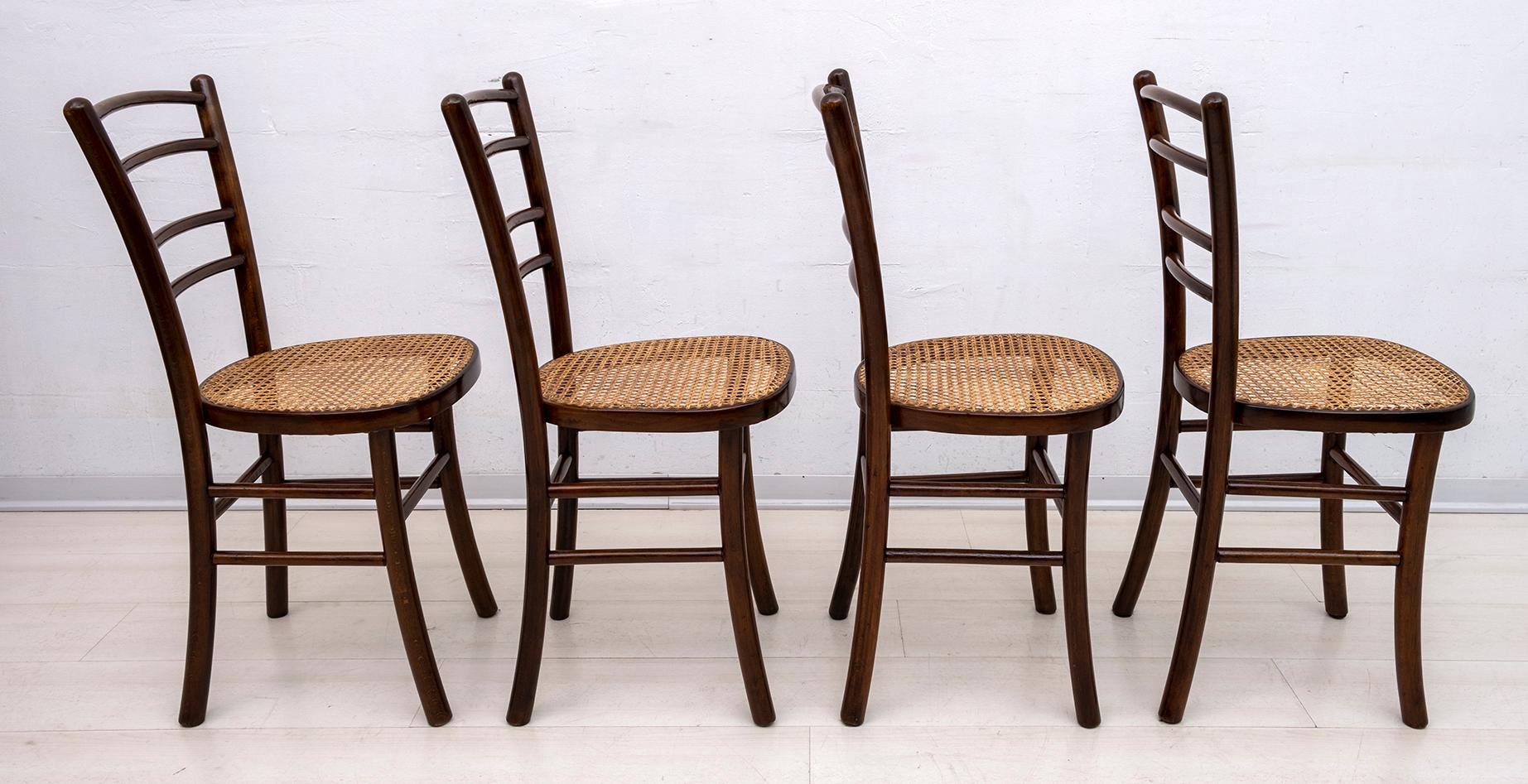 Antonio Volpe Mid-Century Modern Italian Curved Beech Dining Chairs, 1940s In Good Condition In Puglia, Puglia