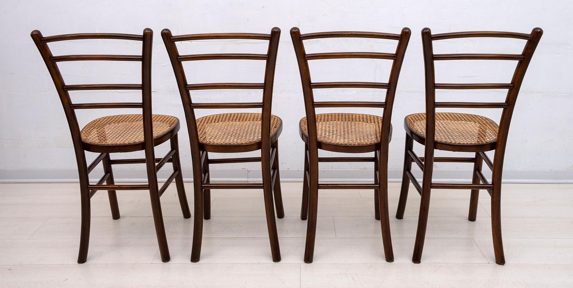 Mid-20th Century Antonio Volpe Mid-Century Modern Italian Curved Beech Dining Chairs, 1940s