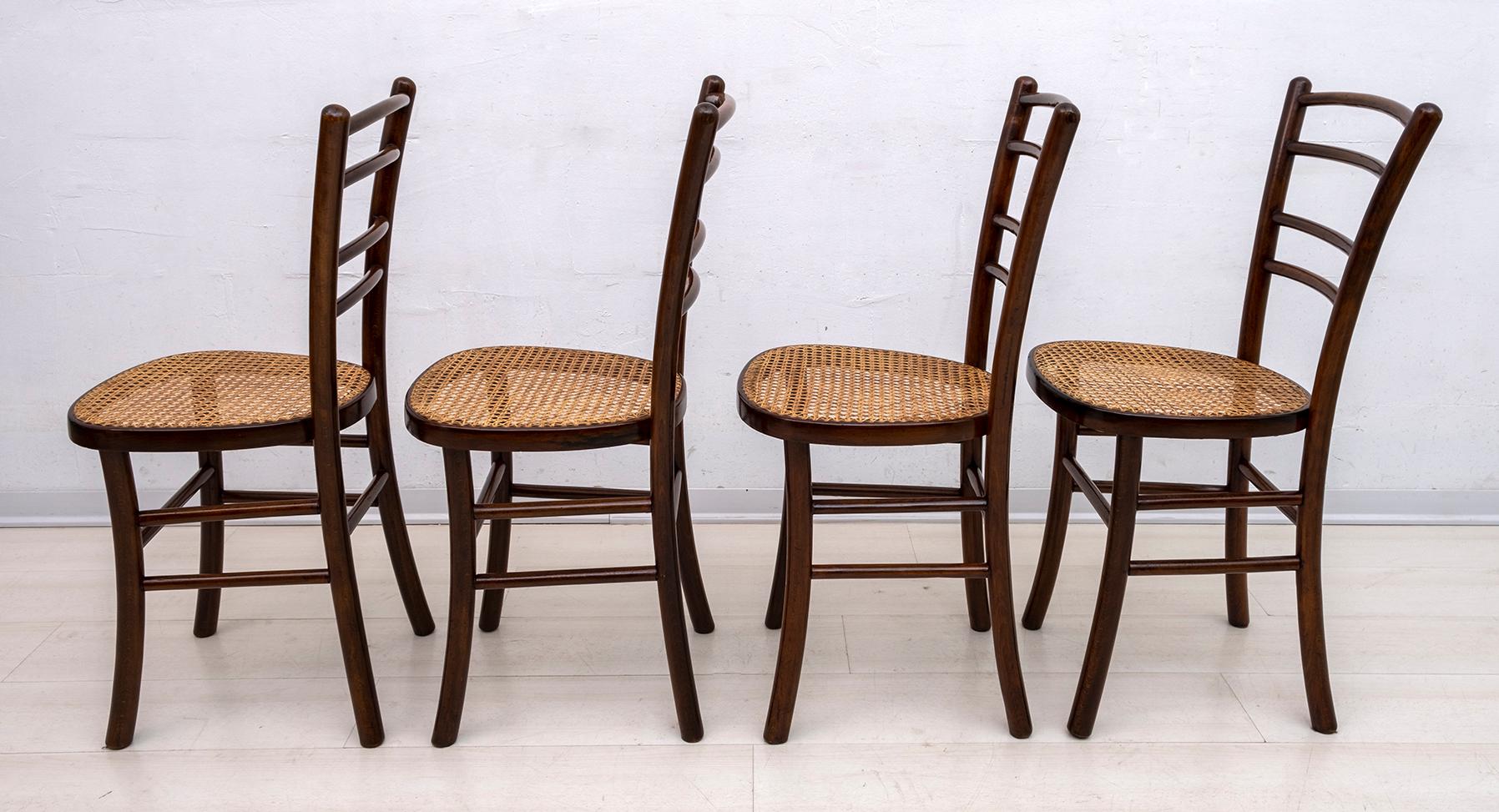 Straw Antonio Volpe Mid-Century Modern Italian Curved Beech Dining Chairs, 1940s