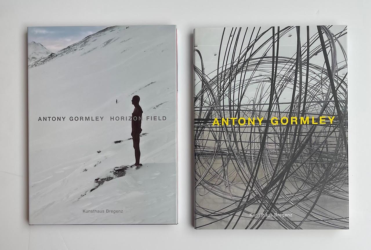 Antony Gormley Horizon Field (box set of two signed monographs held in slipcase) For Sale 9