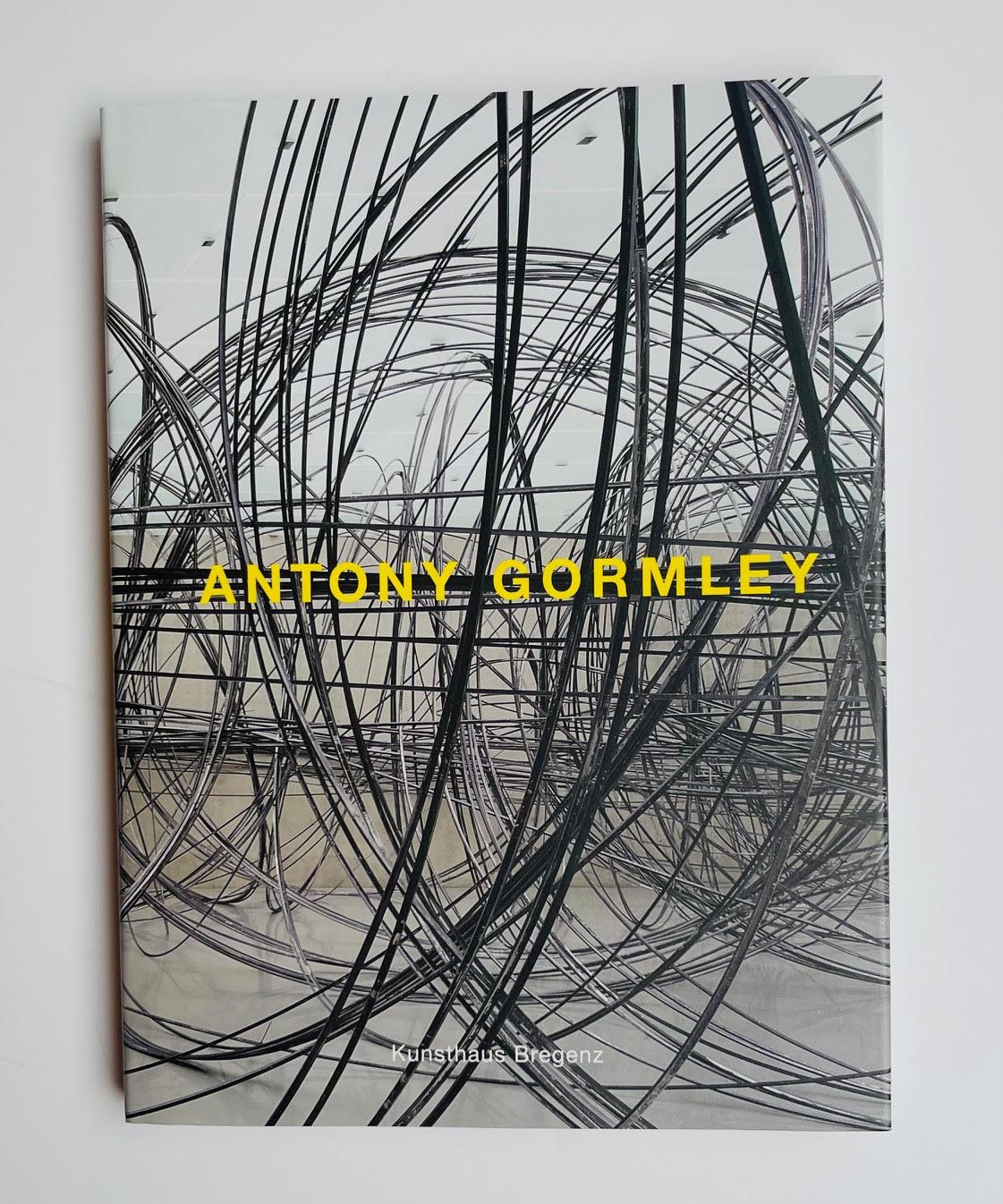 Antony Gormley Horizon Field (box set of two signed monographs held in slipcase) For Sale 17