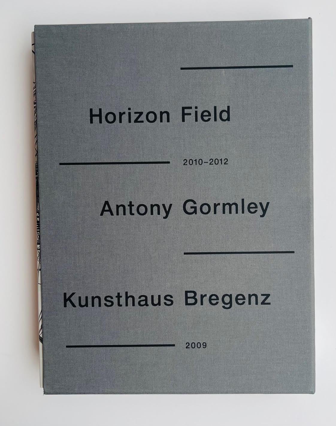 Antony Gormley Horizon Field (ensemble de deux monographies signées conservées dans un coffret) en vente 3