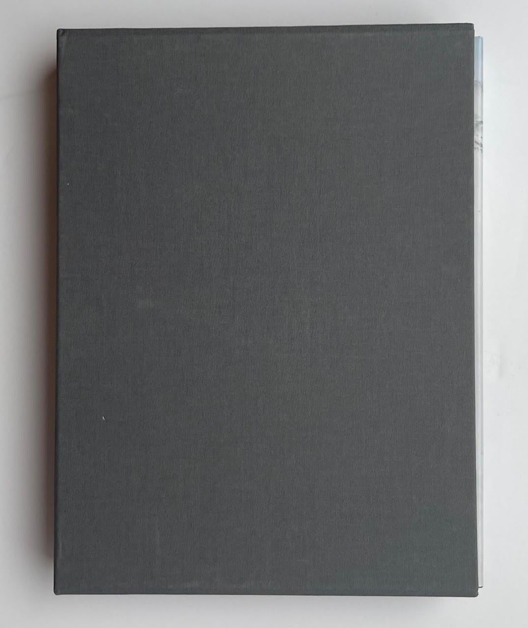 Antony Gormley Horizon Field (box set of two signed monographs held in slipcase) For Sale 4