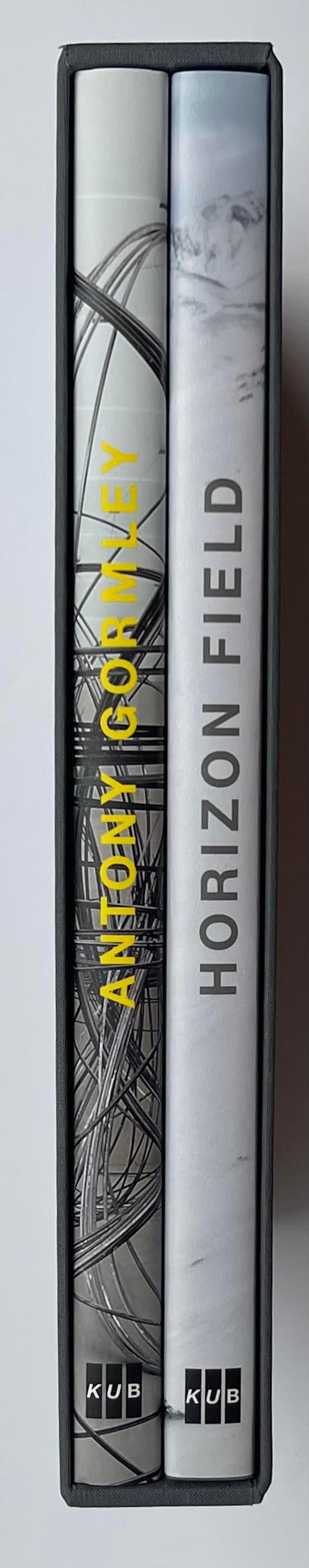 Antony Gormley Horizon Field (box set of two signed monographs held in slipcase) For Sale 5