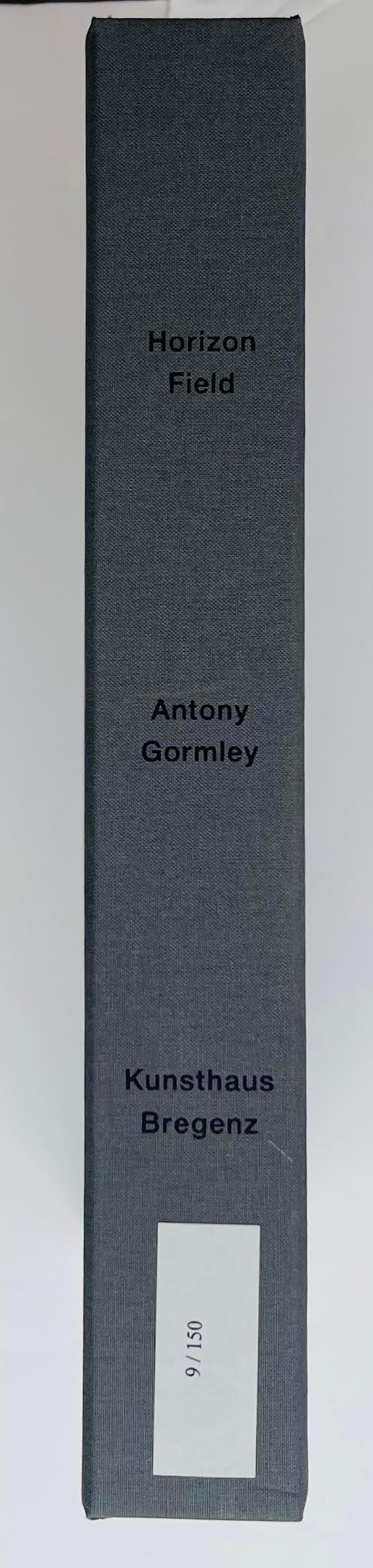 Antony Gormley Horizon Field (box set of two signed monographs held in slipcase) For Sale 6