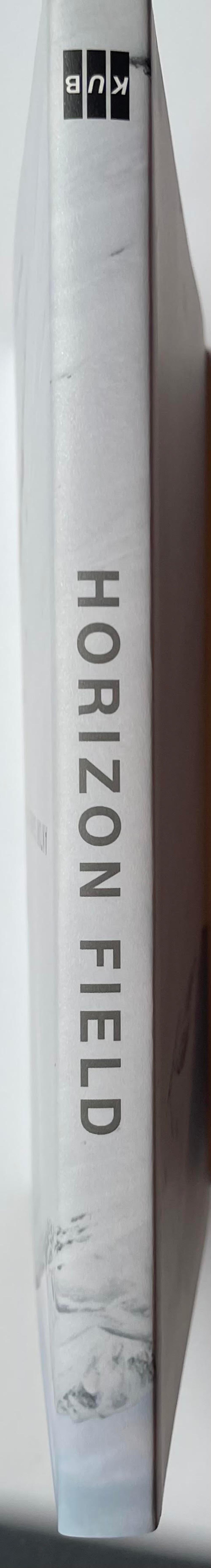 Antony Gormley Horizon Field (ensemble de deux monographies signées conservées dans un coffret) en vente 7