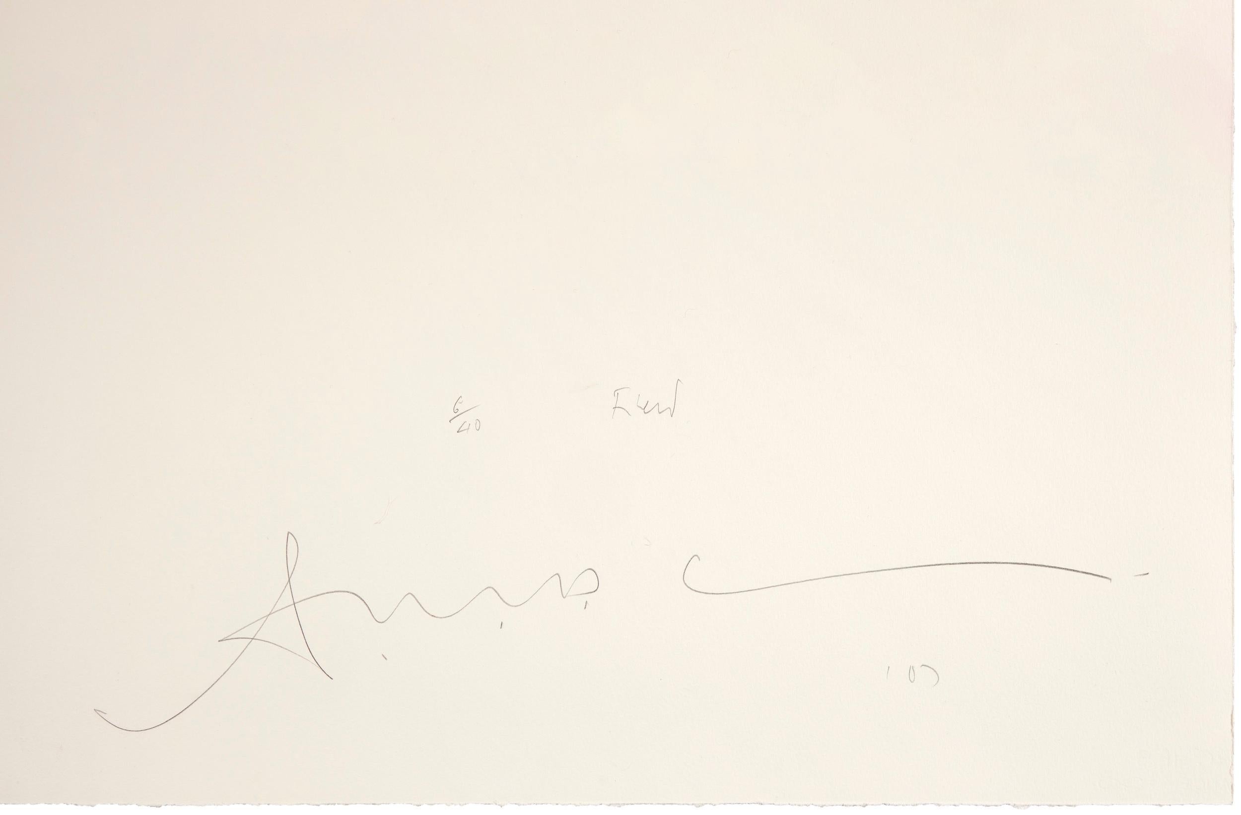 Field, 2007
Antony Gormley 

Lithograph, on 300g. Velin d’Arches paper
Signed and numbered from the edition of 40
Published by Edition Copenhagen, Copenhagen
Sheet: 79 × 116.5 cm (31.1 × 45.7 in)