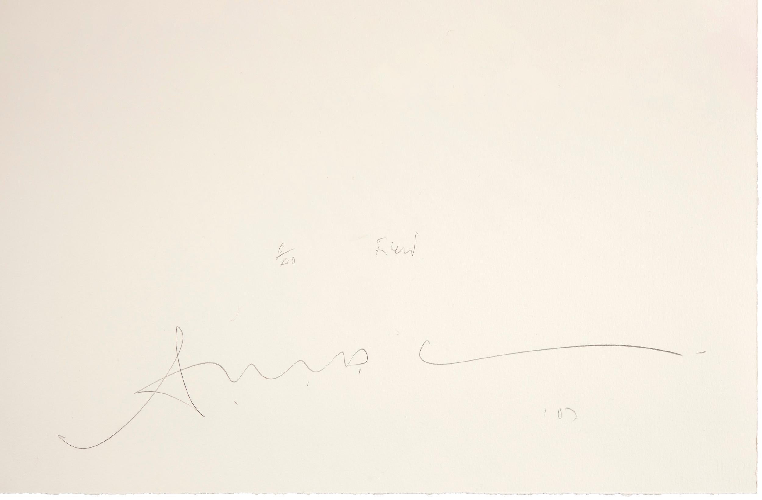 Field -- Print, Lithograph, Contemporary Art by Antony Gormley For Sale 1