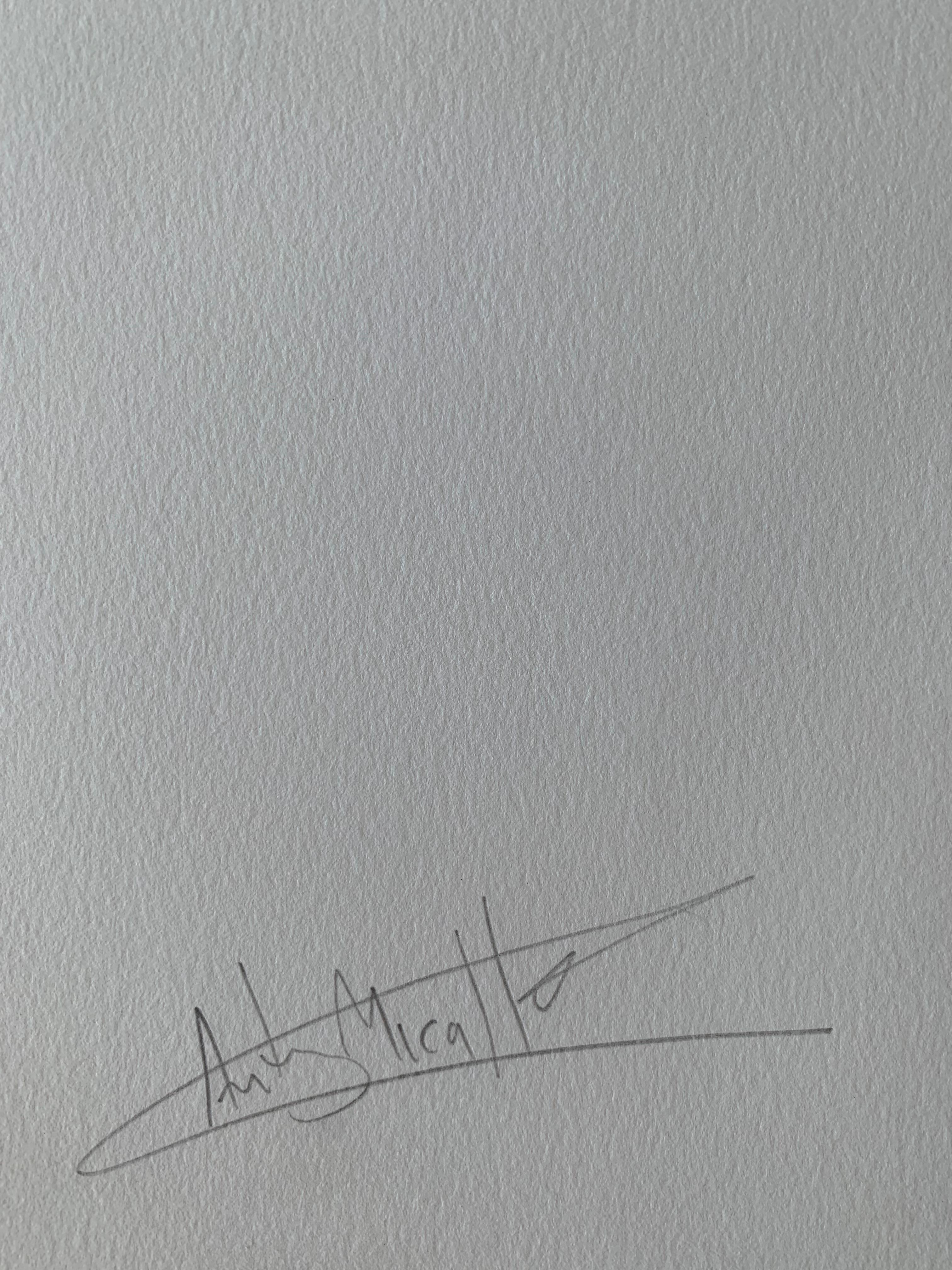 PEACEKEEPER Lithographie in limitierter Auflage, signiert und nummeriert im Angebot 2