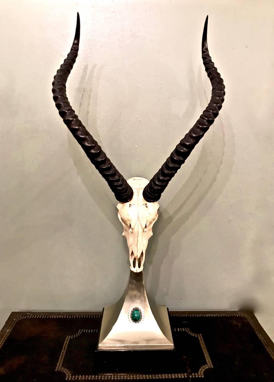 This is a stunning pair of Antony Redmile Impala horns (and skull) that have been mounted on a custom brass pyramid-form plinth that is further defined by a large malachite cabochon. The sculpture is in excellent condition.