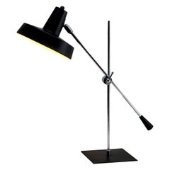 Anvia Table Lamps