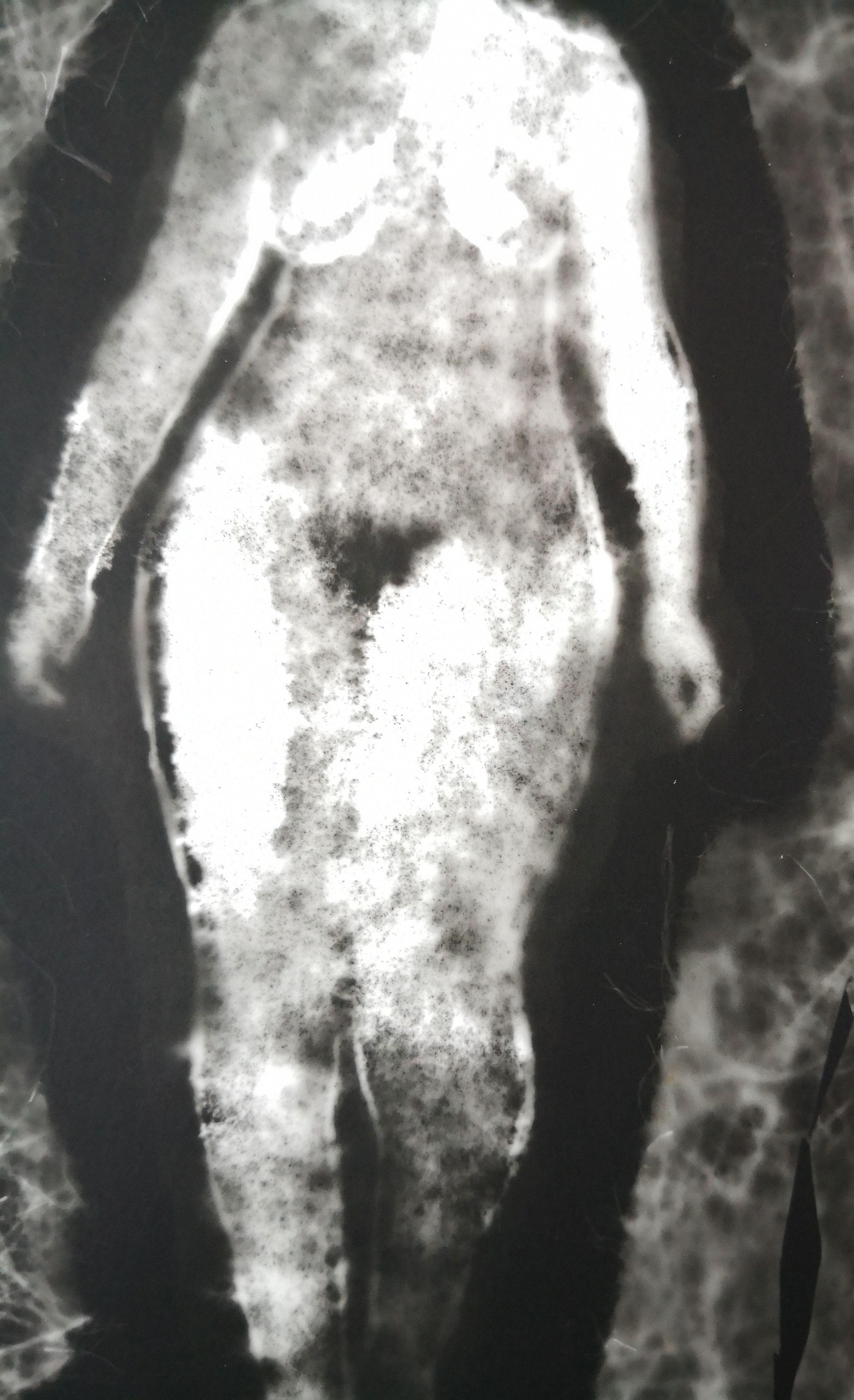 This work is made up of two photograms on archival quality photographic paper,  representing Adam and Eve. Each photogram is 18X 24 cm. A photogram is a photographic image made without a camera by placing objects directly onto the surface of a