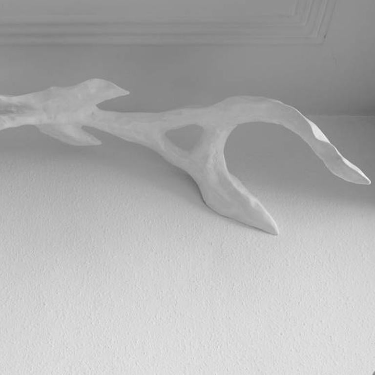 Fins Ap - Conceptual Art by Ap Verheggen