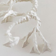 Subridens Dracone 2013