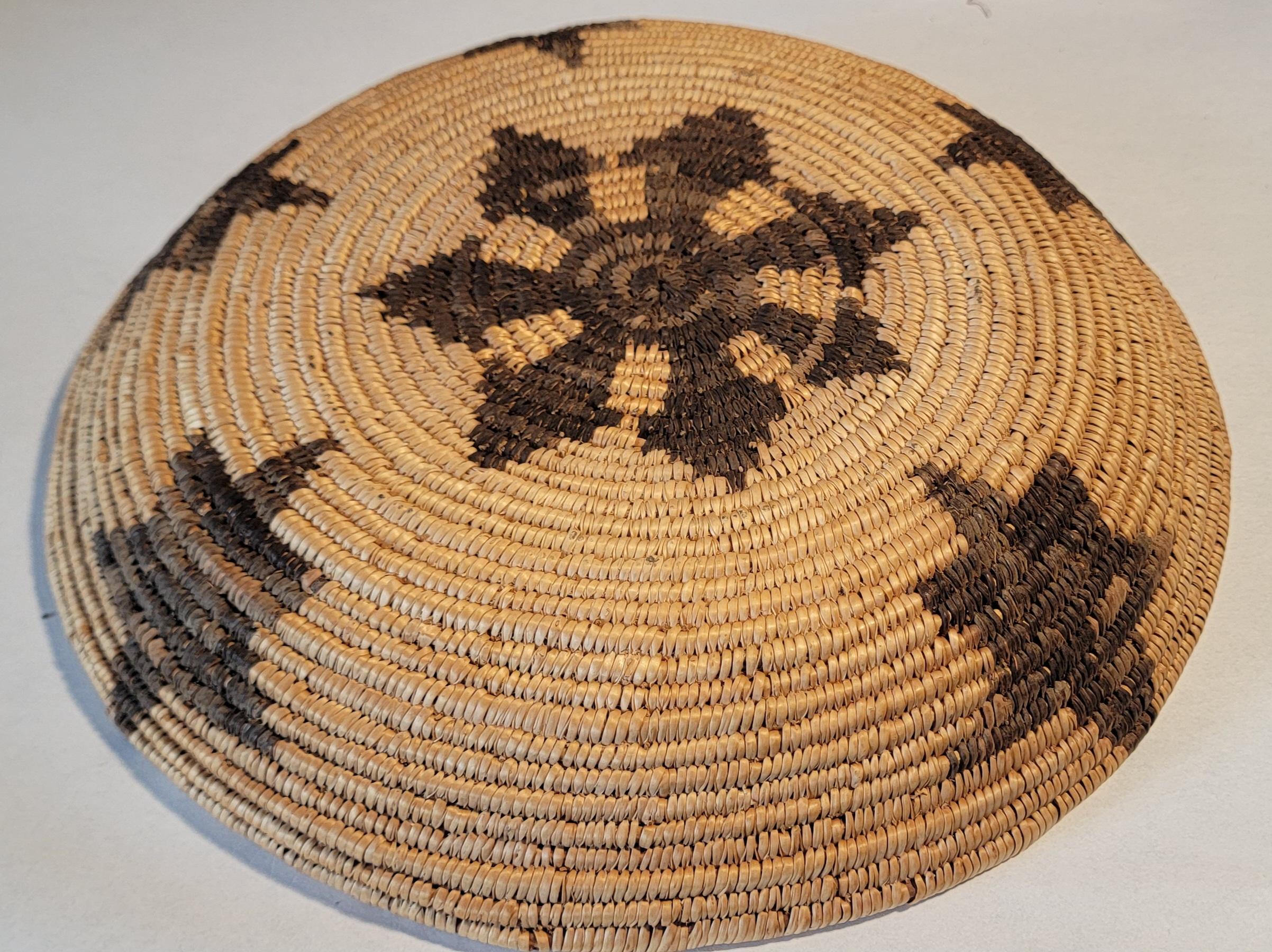 Cesta de los indios apaches americanos Tejido de hierba del diablo Arte popular en venta