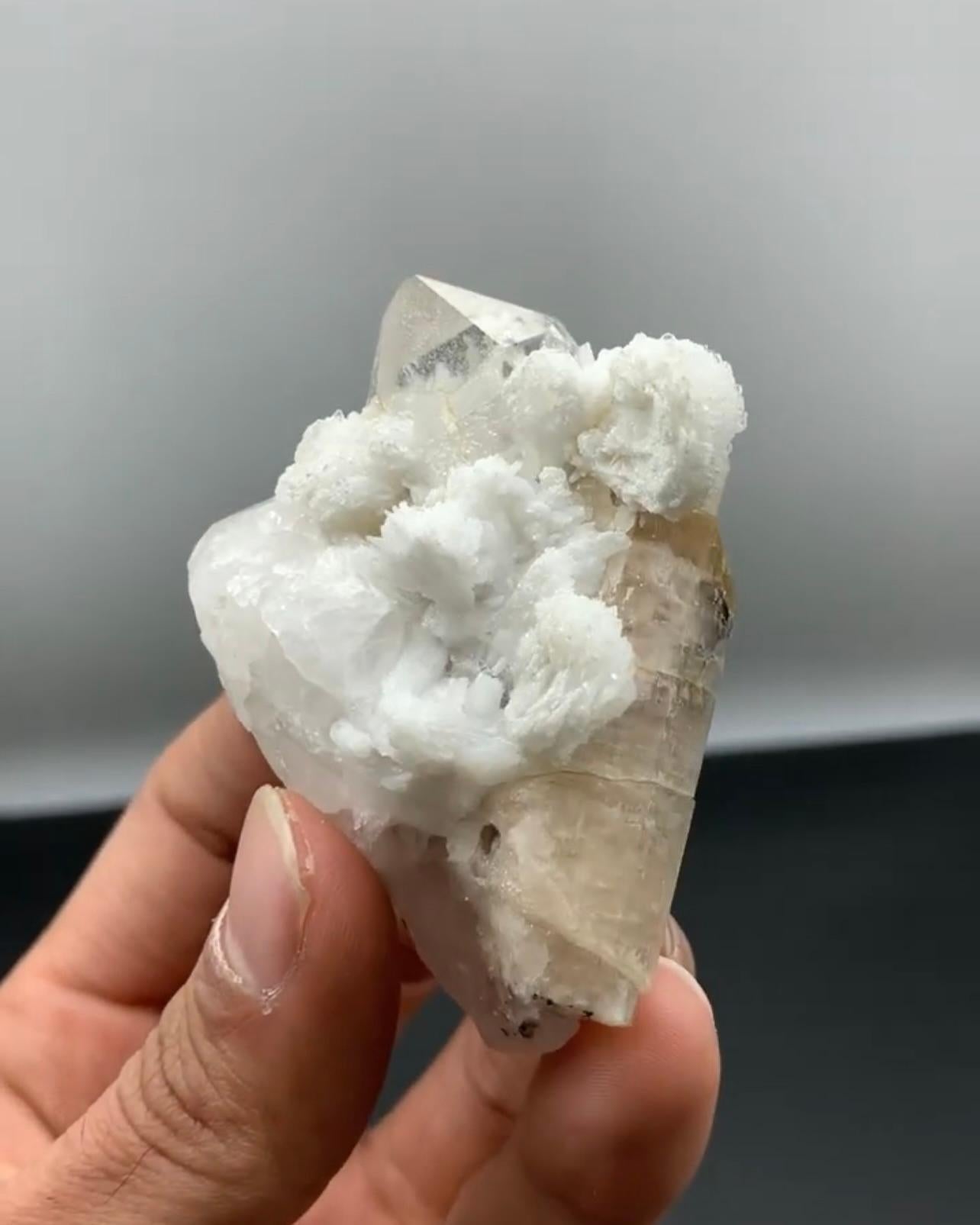 Product Information:

Specimen: Apatite on Quartz
Weight: 103 grams
Dimensions: H: 6.8 x W: 5.2 x D: 3.8 cm 
Treatment: None
Origin: Skardu District, Gilgit Baltistan Province, Pakistan 

Description:

This striking specimen showcases a well-formed