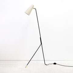Apex Floor Lamp by Gallery L7