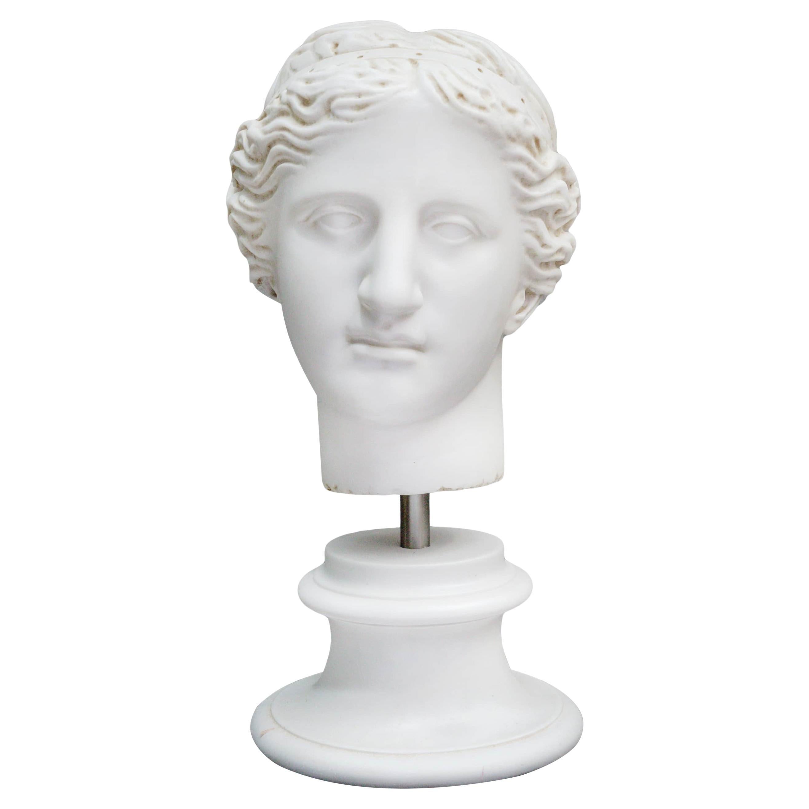Busto di Afrodite  Statua realizzata con polvere di marmo compressa, 'Museo del Louvre'. in vendita